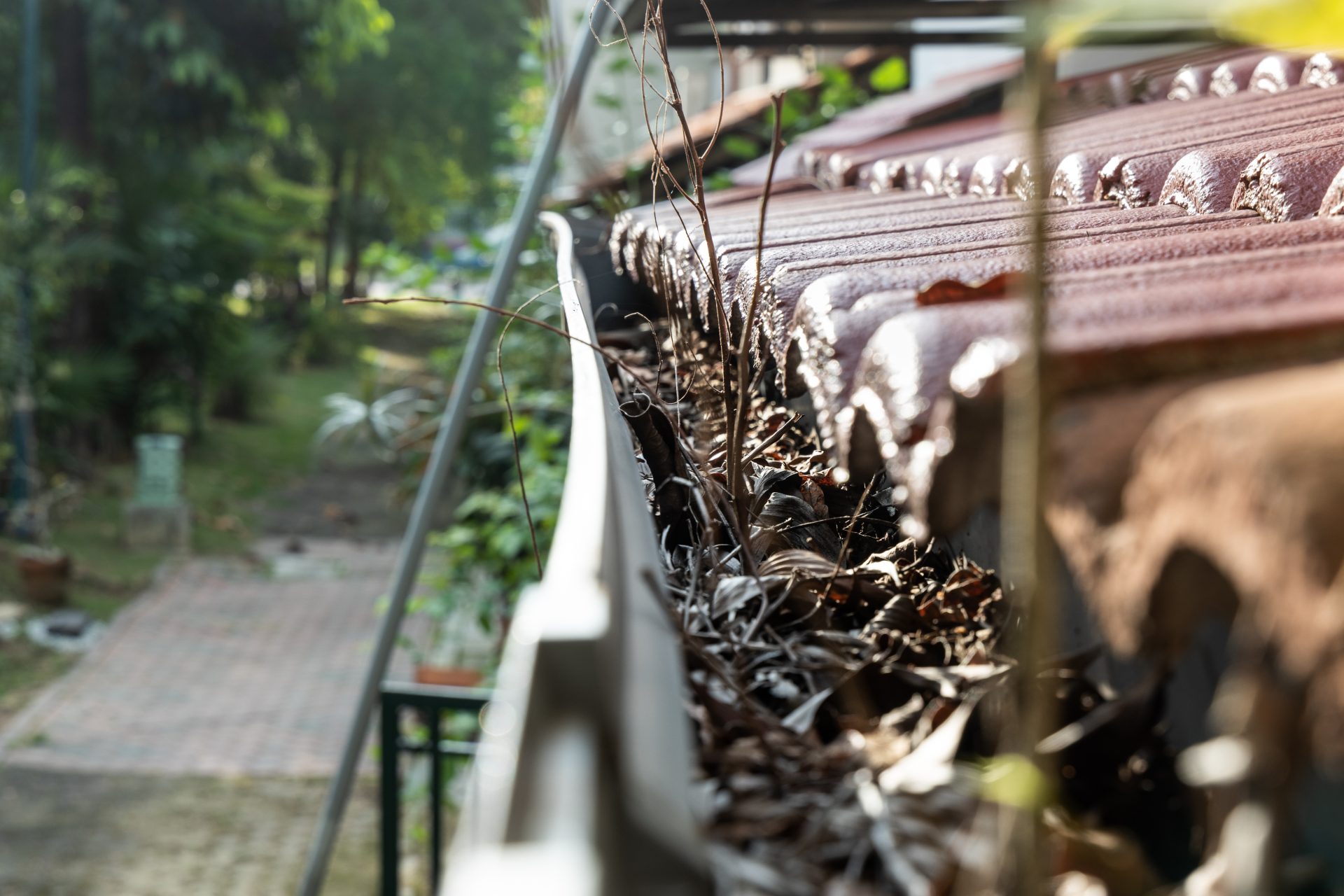 close-up-of-clogged-roof-rain-gutter-full-of-dry-l-2023-11-27-05-22-11-utc